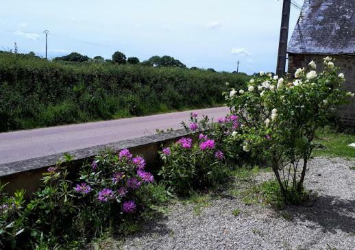 Potter'S Cottage Picauville Exterior foto